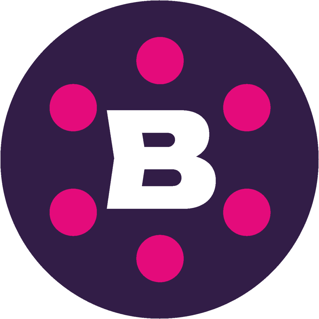 BridgeHub Logo