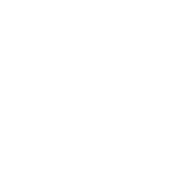 MegaETH logo - white